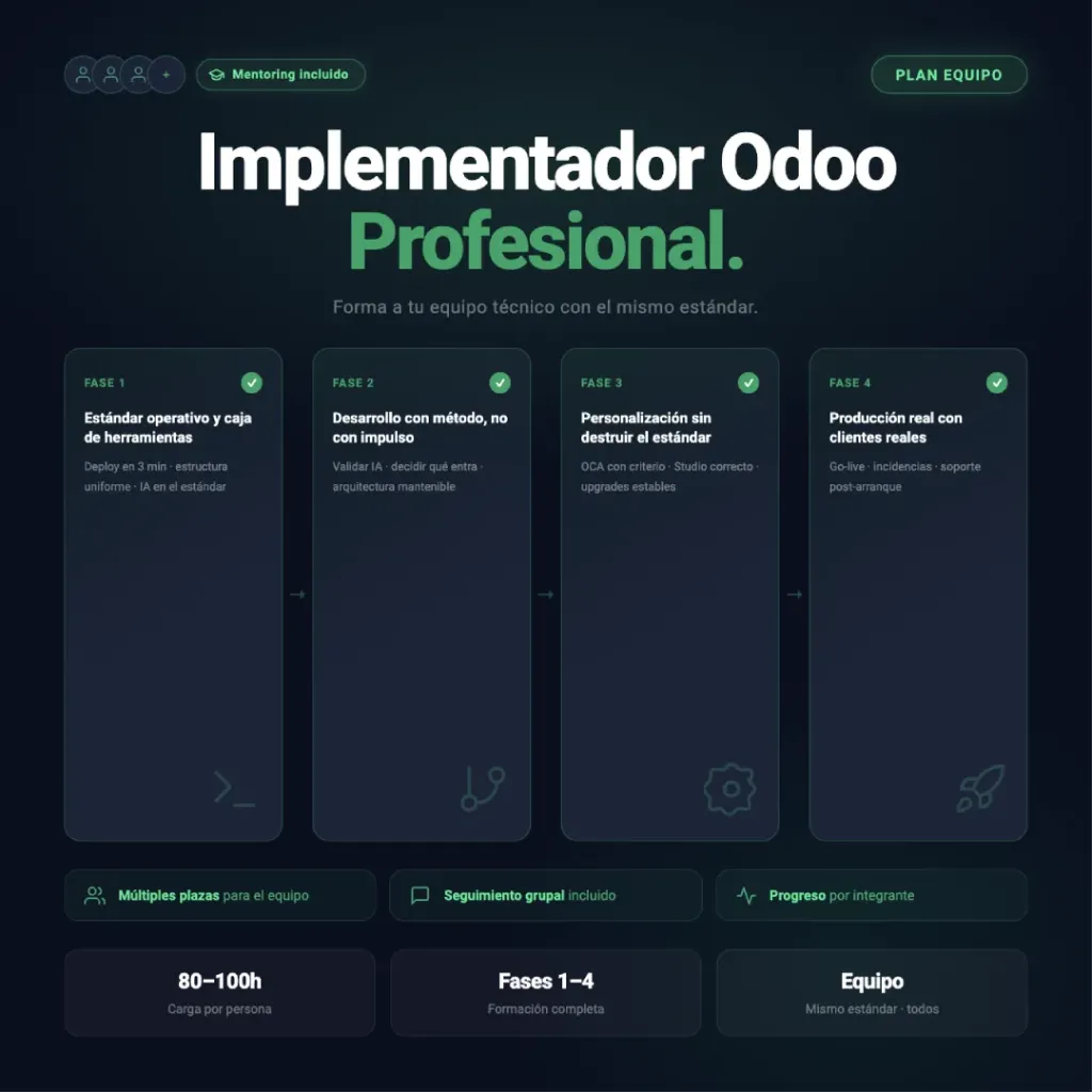 Implementador Odoo · Plan Equipo