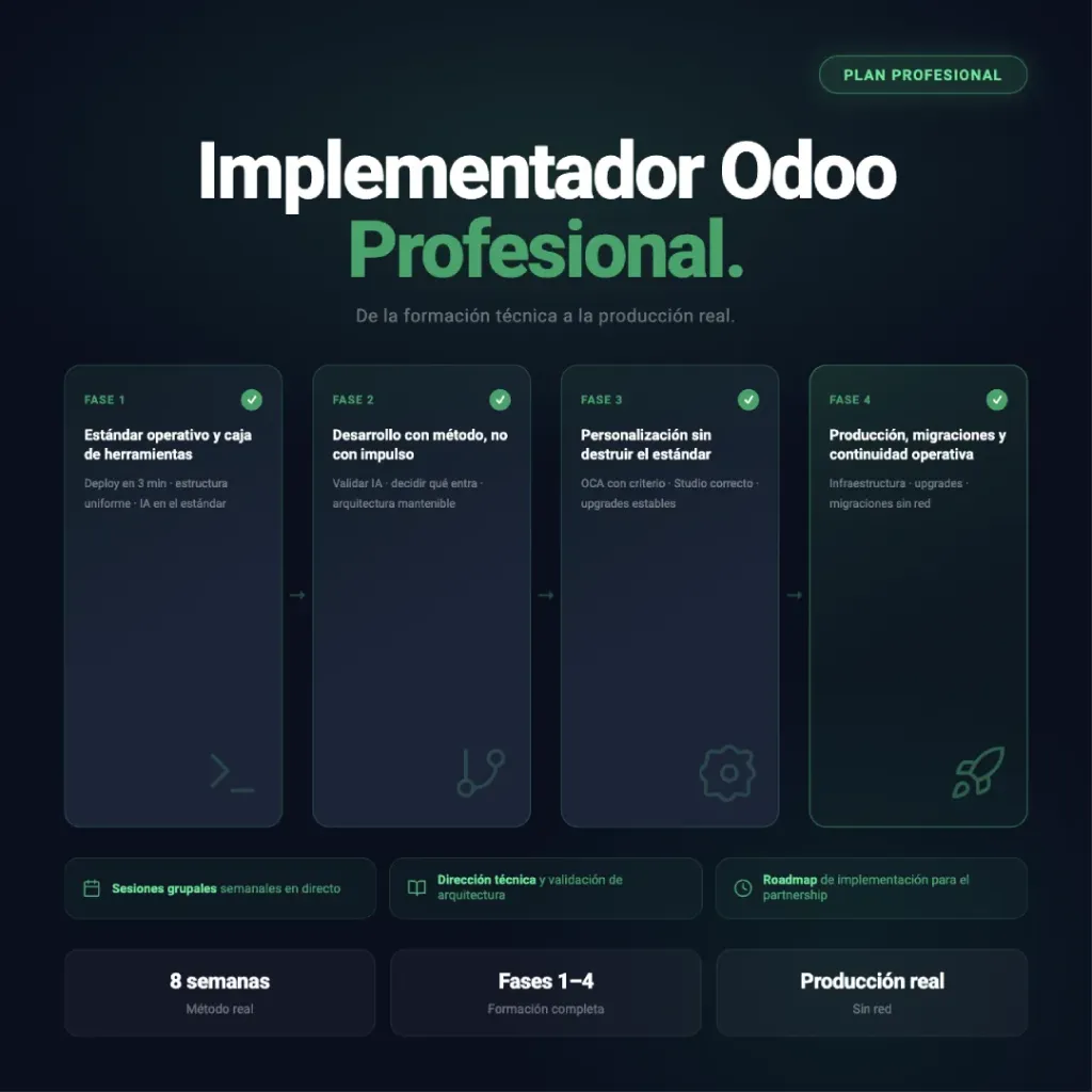 Implementador Odoo · Plan Profesional